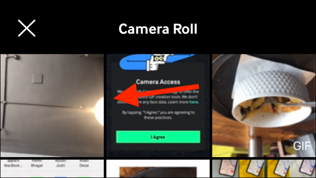 Giphy camera roll