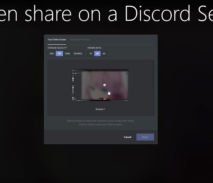 Discord Screen Share
