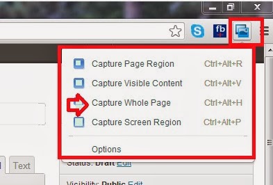 How to capture full webpage on chrome