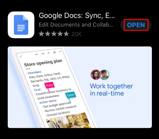 Google Docs App