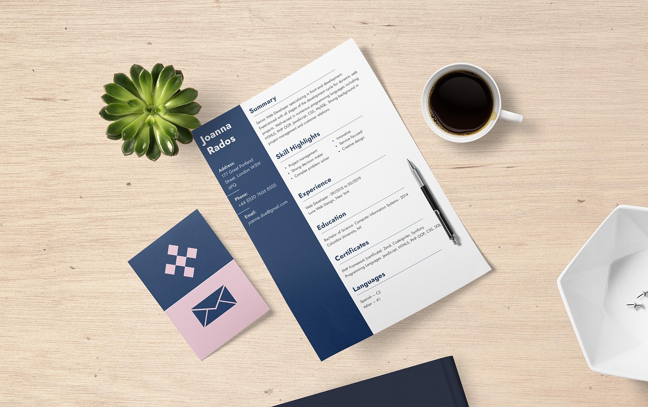 Professional resume and CV layout for a job application